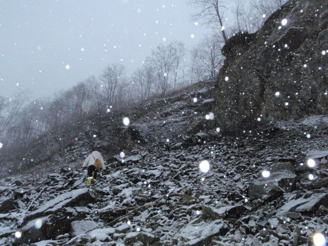 e0290546_17253013.jpg