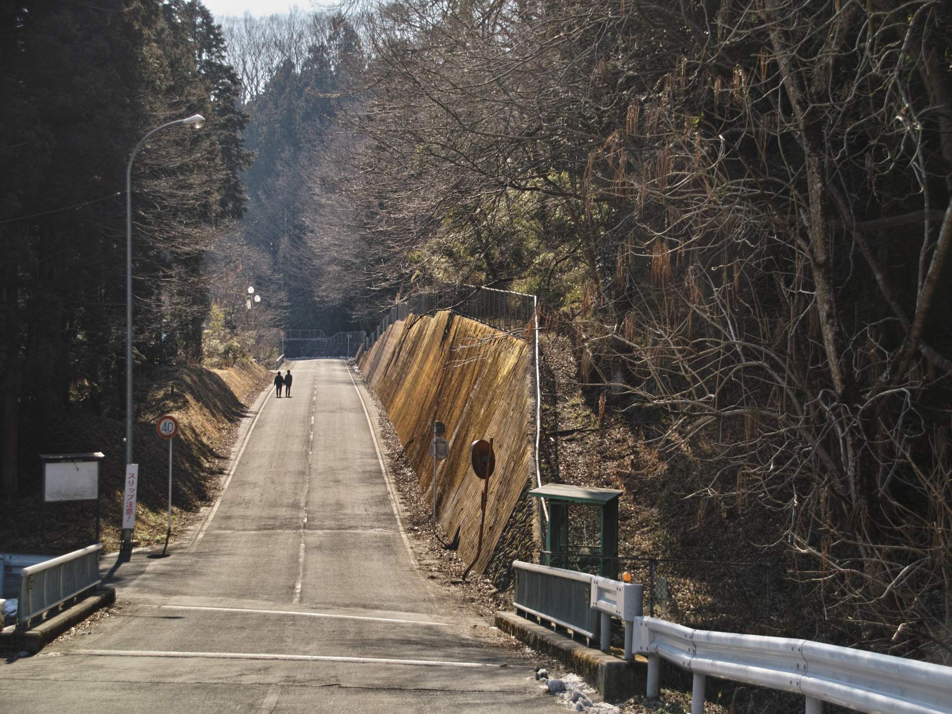 新ハイ先達の跡を追う：不動山～陣見山/１_c0008948_12332632.jpg