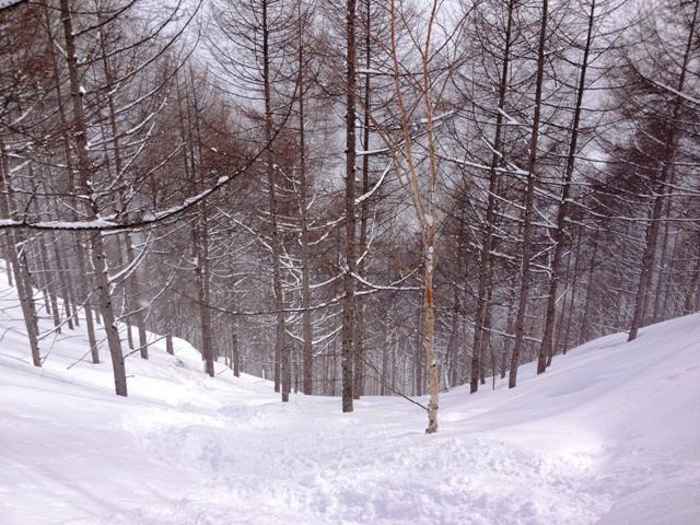 e0248949_29918.jpg