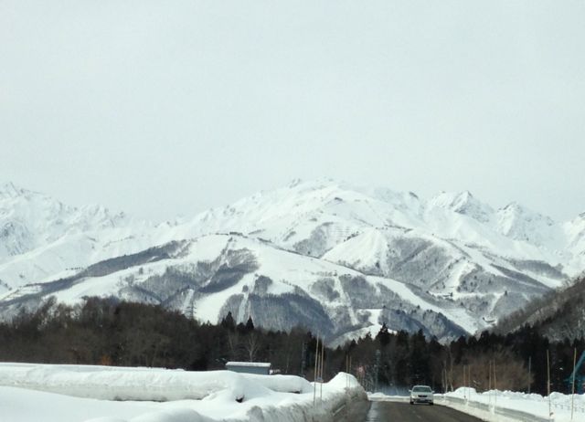 c0254151_12291295.jpg