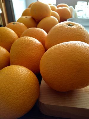 ジャム作ってます_e0074251_1344094.jpg