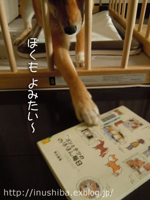 犬の本 柴犬ゴンとテツののほほん毎日 Yamatoのひとりごと 犬の本 柴犬ゴンとテツののほほん毎日 Yamatoのひとりごと