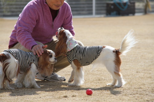 連休二日目やっぱりココ　２／１０　晴れ_e0114977_9392444.jpg