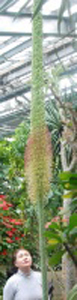 f0200477_22243295.jpg