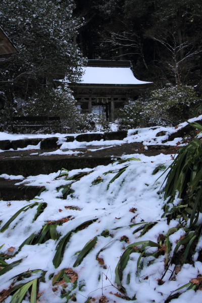 志明院_e0051888_22244159.jpg