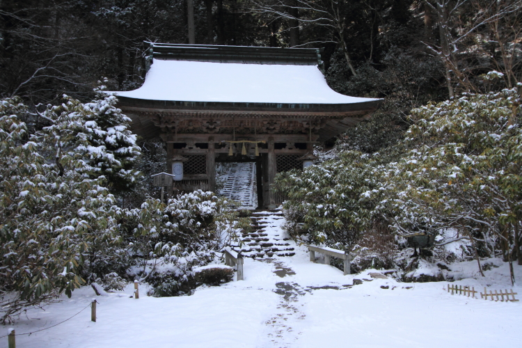 志明院_e0051888_22255243.jpg