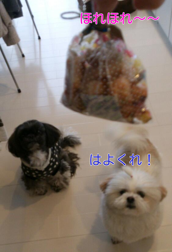 b0237894_1924870.png
