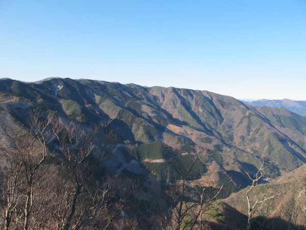 福寿草を訪ねて岩宇土山から上福根山を登る　　2013.2.10（土）快晴_a0166196_15144827.jpg