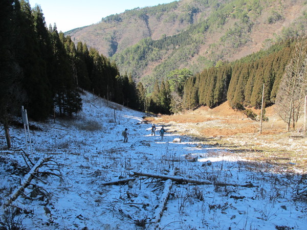 福寿草を訪ねて岩宇土山から上福根山を登る　　2013.2.10（土）快晴_a0166196_1523124.jpg