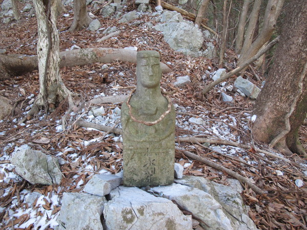 福寿草を訪ねて岩宇土山から上福根山を登る　　2013.2.10（土）快晴_a0166196_1594845.jpg