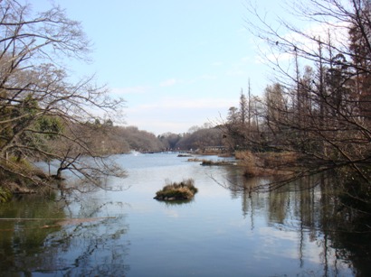 b0113698_1301573.jpg