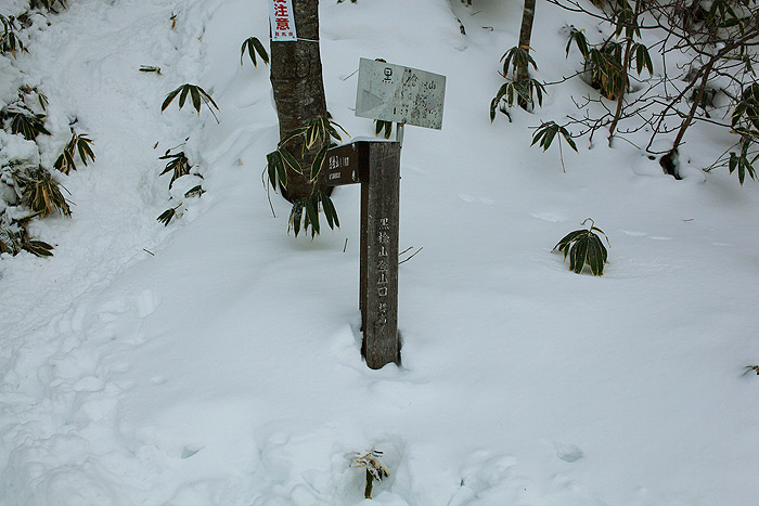 a0148606_011730.jpg