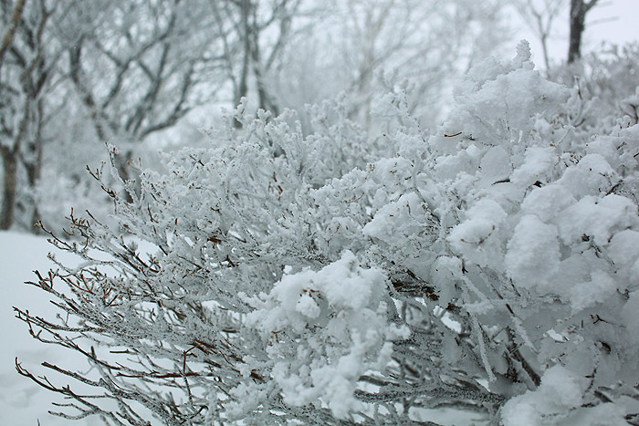 a0148606_0145139.jpg
