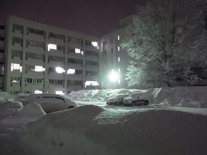午後の大雪2_c0025115_19304814.jpg