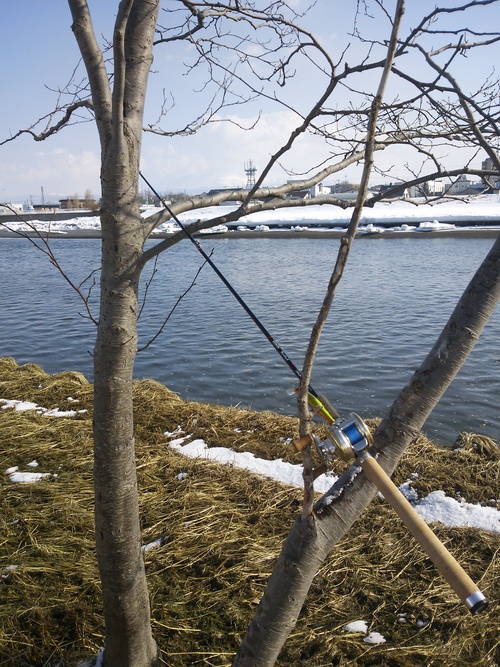 a0202816_15445365.jpg