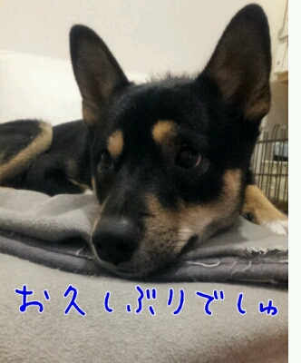b0207320_0555489.jpg