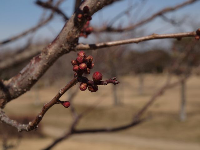 a0188023_733581.jpg