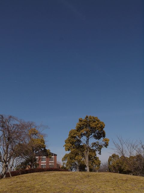 a0188023_7342238.jpg