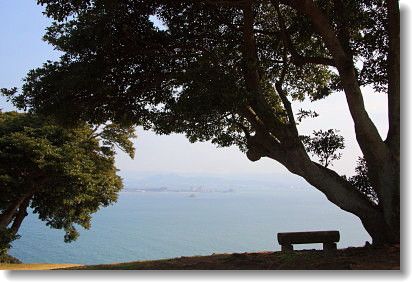 水仙の花さく能古島_d0038630_2385187.jpg