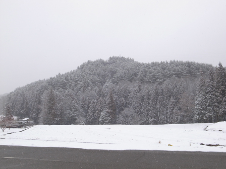 a0014840_23565982.jpg