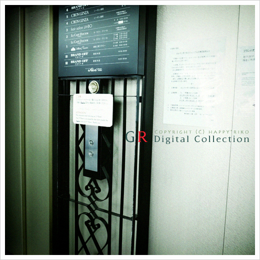 GINZA_b0049843_10125477.jpg