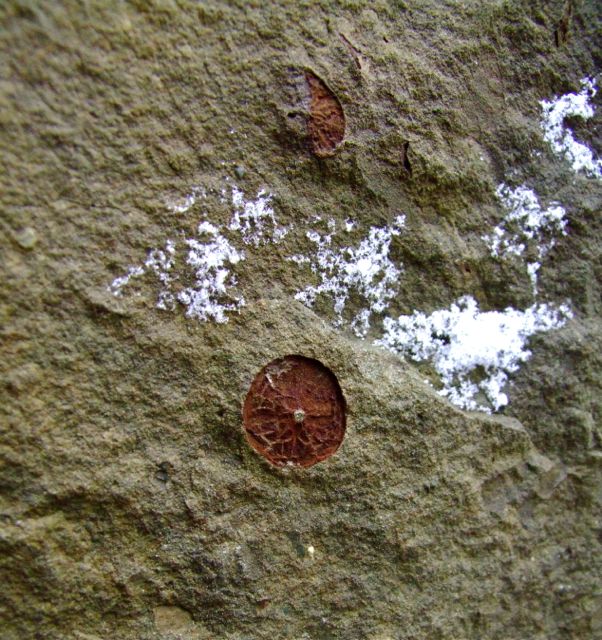e0290546_117433.jpg