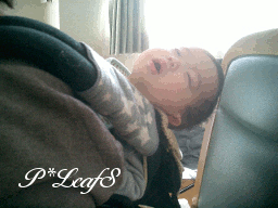 c0176651_12695.gif