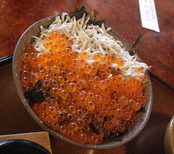 f0160353_1542488.png