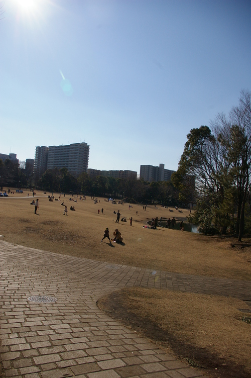 ぼくの東京百景（横浜も）_b0175255_13351624.jpg