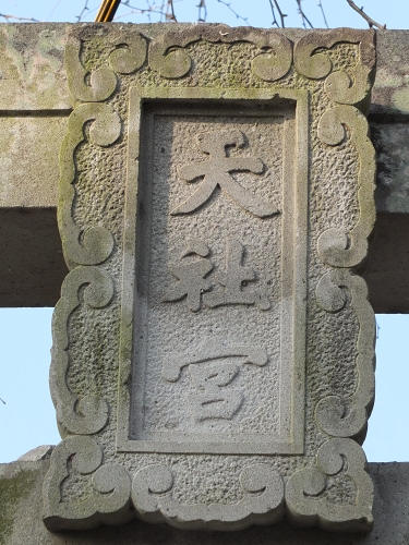 高橋東神社（天社宮）の大楠_b0123359_21264447.jpg