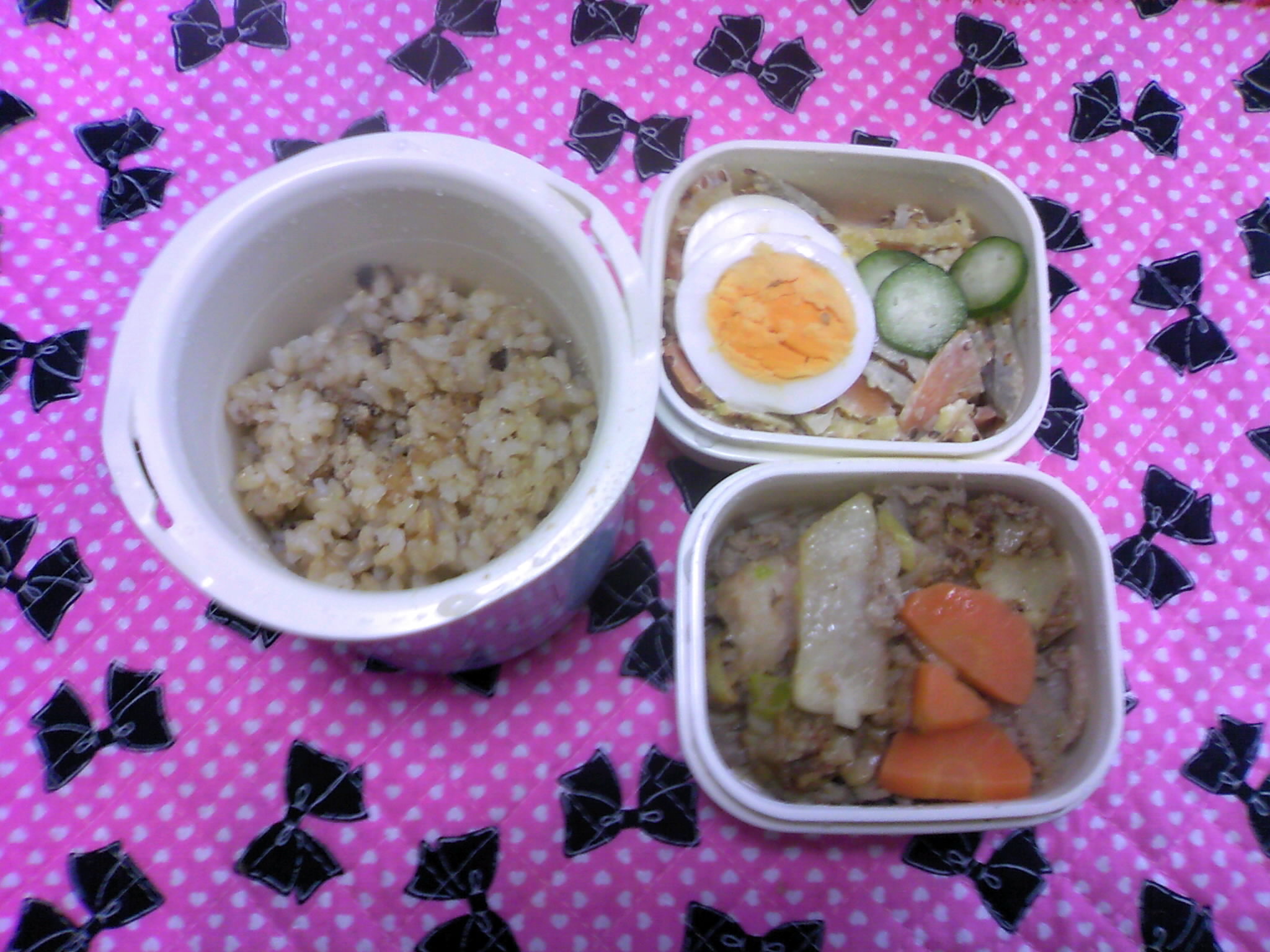 お弁当_c0046559_10413038.jpg