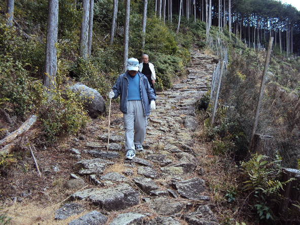 身近な世界遺産・熊野古道「八鬼山越え」を歩く_f0133861_19282719.jpg