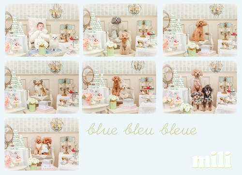 mili ×　blue bleu bleue 　part3_b0136873_1963620.jpg