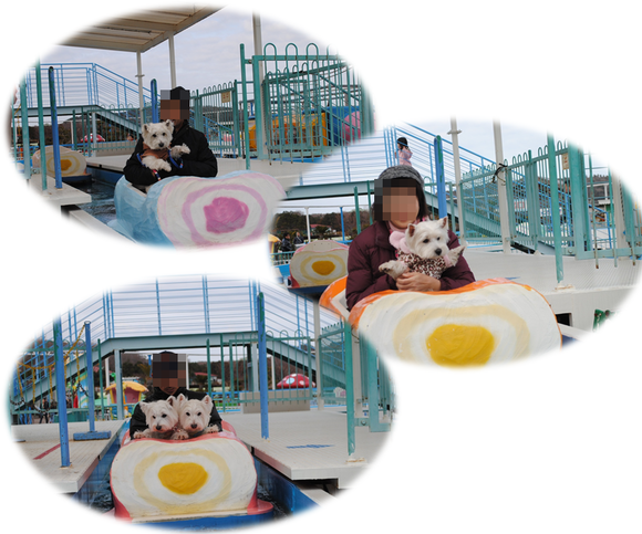 b0242873_1233022.png