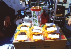 東京都 幡ヶ谷生活学校【活動報告】_a0226881_15384677.jpg