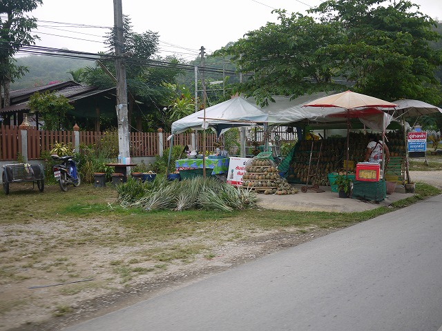d0060082_1231942.jpg