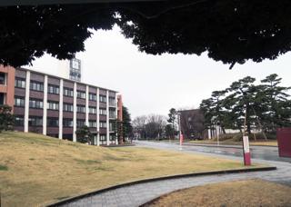 ま〜得手不得手ありますから(笑)....頭を使う仕事は写真の二人に...._b0194185_2313432.jpg