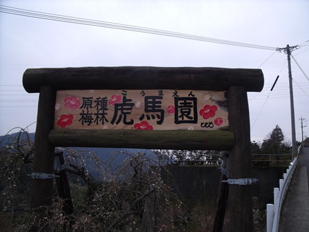 d0129787_19174240.jpg