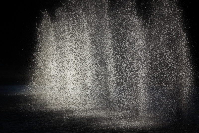 b0227088_512263.jpg