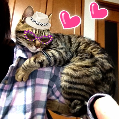 バラエティかぼちゃん_a0126590_5561584.jpg