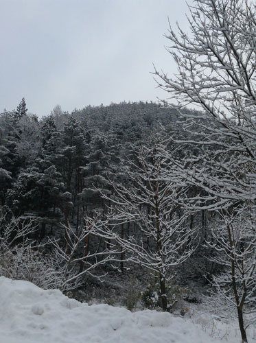 今日も雪降り釜津田です。_f0236291_9204150.jpg