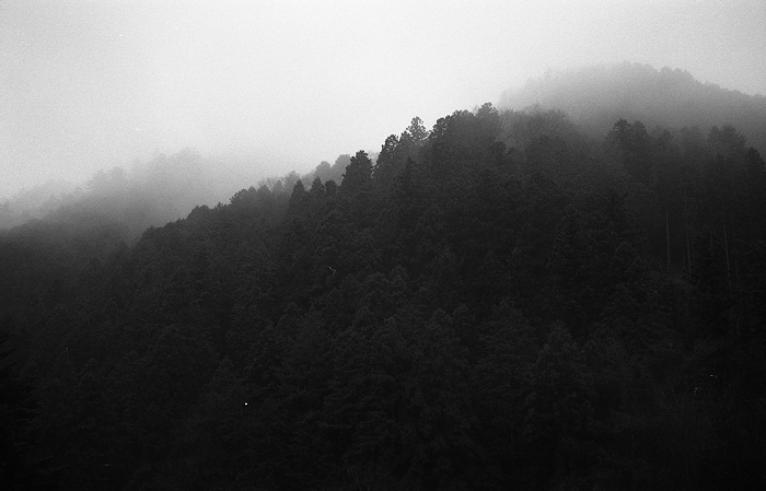 c0214494_175668.jpg