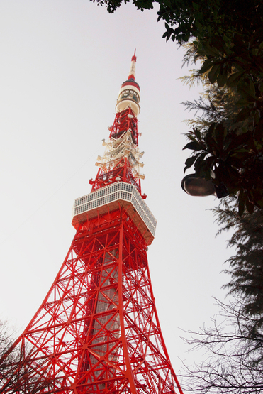 二月の風景　芝・増上寺_f0240595_1412244.jpg