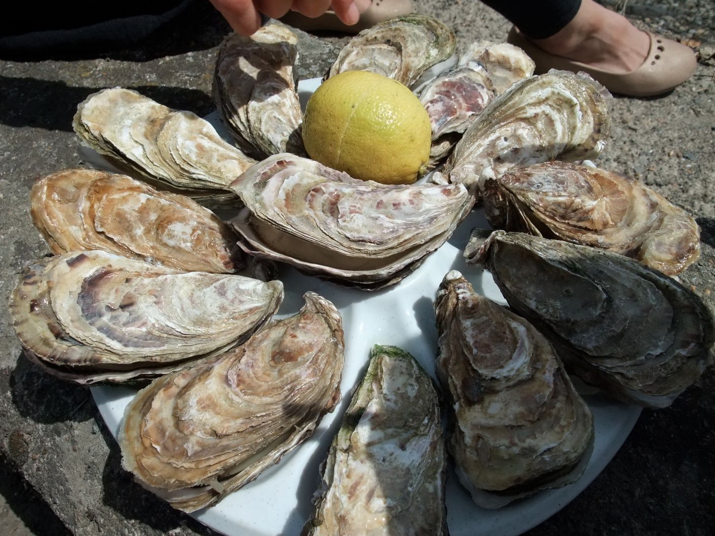 フランスへ牡蠣を食べにいく　〜その２〜_f0248903_17124825.jpg