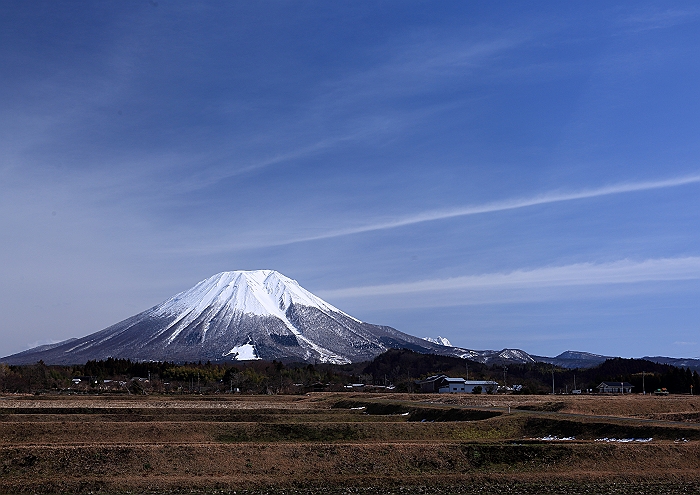 ”オシドリ＆コハクチョウ＆大山”　NO.2_a0140608_18465545.jpg