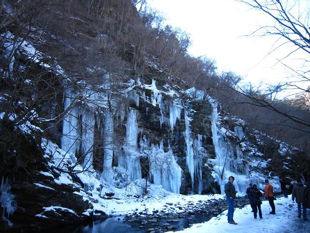a0141408_21142813.jpg