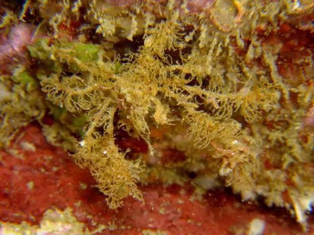 d0175710_1823981.jpg