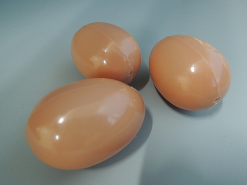 模擬卵（玉子模型）_e0142313_1553284.jpg
