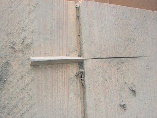 f0207213_10507.jpg