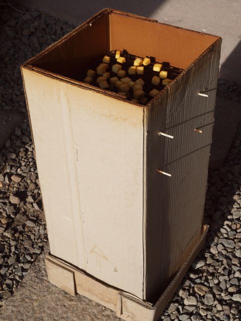 a0188023_7273556.jpg